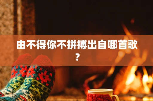 由不得你不拼搏出自哪首歌？