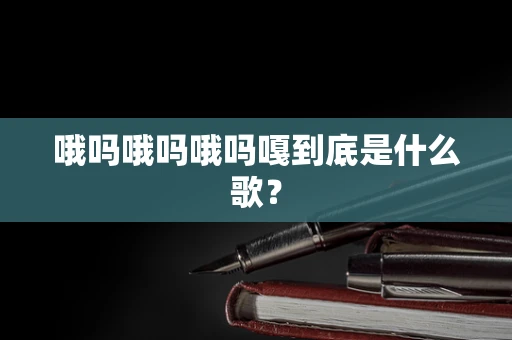 哦吗哦吗哦吗嘎到底是什么歌？