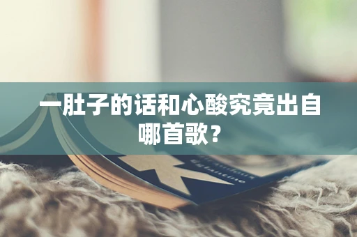 一肚子的话和心酸究竟出自哪首歌？