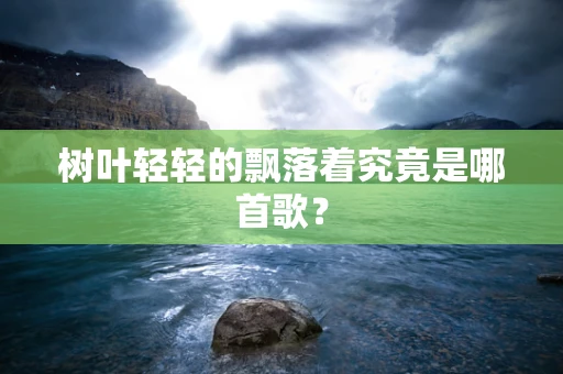 树叶轻轻的飘落着究竟是哪首歌？