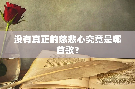 没有真正的慈悲心究竟是哪首歌？