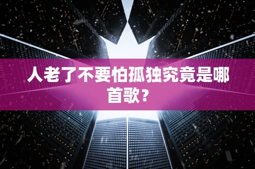 人老了不要怕孤独究竟是哪首歌？