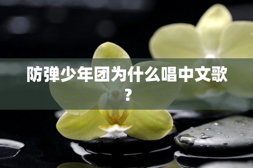 防弹少年团为什么唱中文歌？