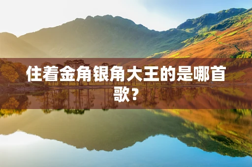 住着金角银角大王的是哪首歌？