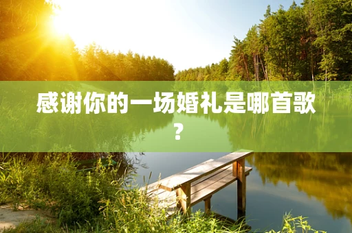 感谢你的一场婚礼是哪首歌？