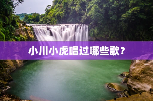 小川小虎唱过哪些歌？