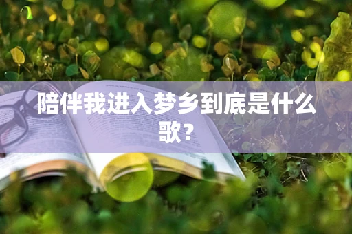 陪伴我进入梦乡到底是什么歌？