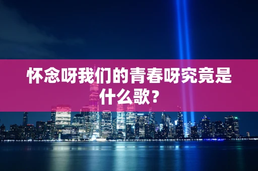 怀念呀我们的青春呀究竟是什么歌？