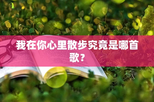 我在你心里散步究竟是哪首歌？