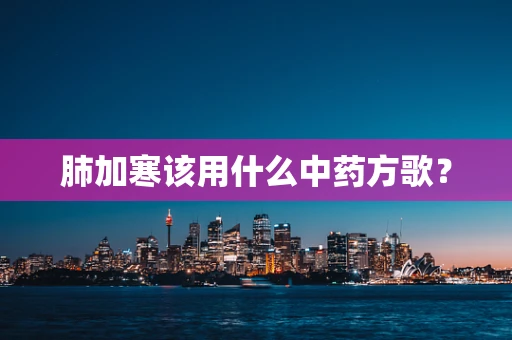肺加寒该用什么中药方歌？