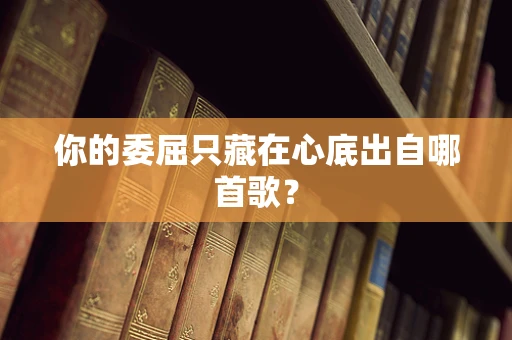 你的委屈只藏在心底出自哪首歌？