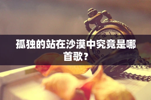孤独的站在沙漠中究竟是哪首歌？