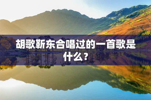 胡歌靳东合唱过的一首歌是什么？