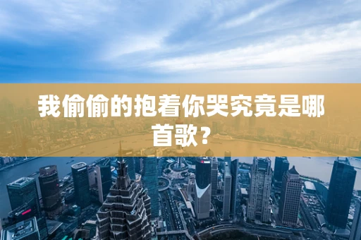我偷偷的抱着你哭究竟是哪首歌？