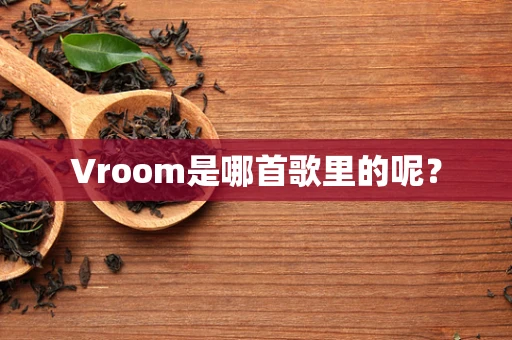 Vroom是哪首歌里的呢？