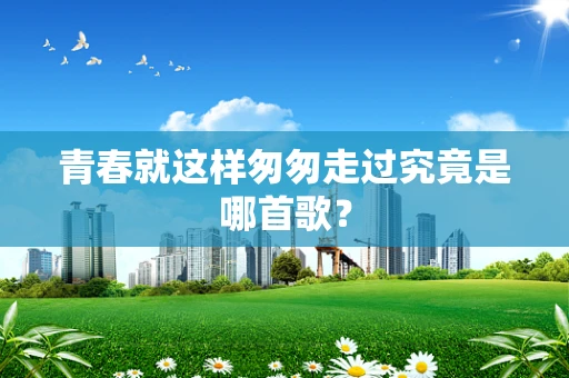 青春就这样匆匆走过究竟是哪首歌？