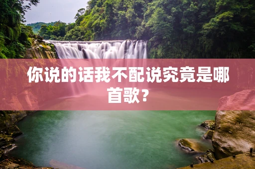 你说的话我不配说究竟是哪首歌？