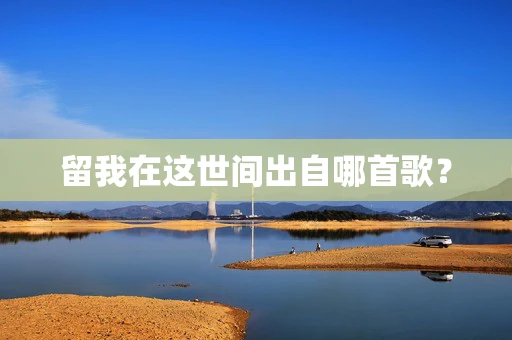 留我在这世间出自哪首歌？