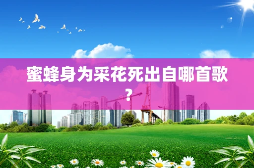 蜜蜂身为采花死出自哪首歌？