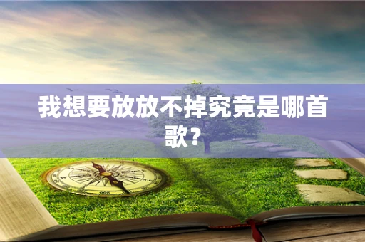 我想要放放不掉究竟是哪首歌？