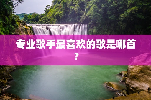 专业歌手最喜欢的歌是哪首？