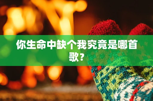 你生命中缺个我究竟是哪首歌？