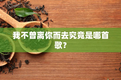 我不曾离你而去究竟是哪首歌？