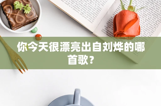 你今天很漂亮出自刘烨的哪首歌？