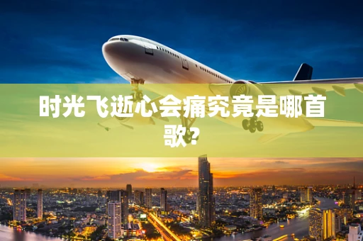 时光飞逝心会痛究竟是哪首歌？