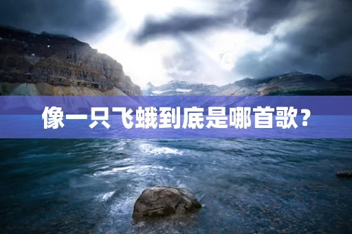 像一只飞蛾到底是哪首歌？