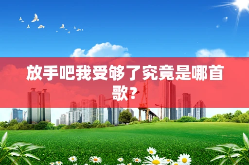 放手吧我受够了究竟是哪首歌？