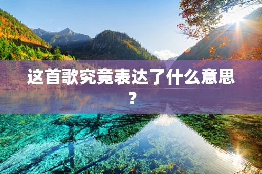 这首歌究竟表达了什么意思？