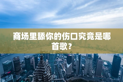 商场里舔你的伤口究竟是哪首歌？