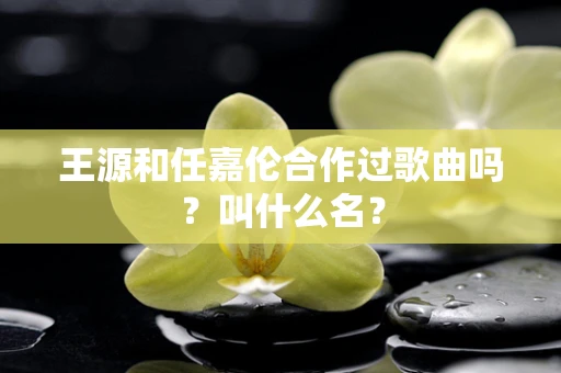 王源和任嘉伦合作过歌曲吗？叫什么名？