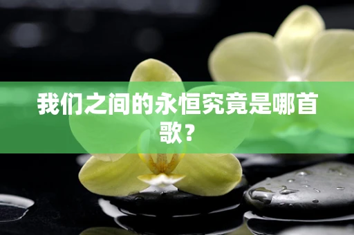 我们之间的永恒究竟是哪首歌？