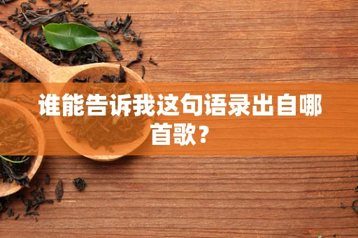谁能告诉我这句语录出自哪首歌？