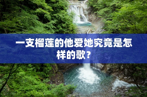 一支榴莲的他爱她究竟是怎样的歌？