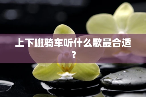 上下班骑车听什么歌最合适？