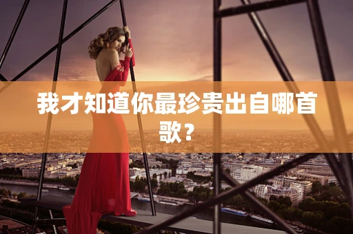我才知道你最珍贵出自哪首歌？