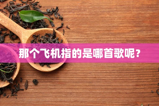 那个飞机指的是哪首歌呢？