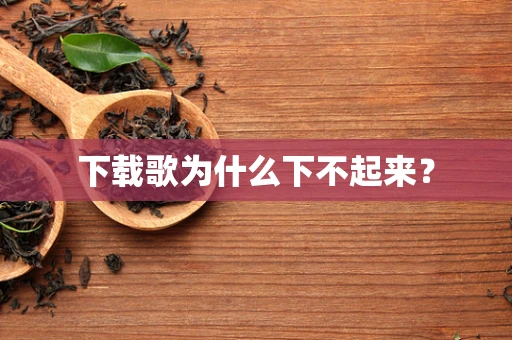 下载歌为什么下不起来？