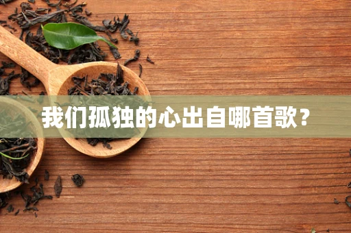 我们孤独的心出自哪首歌？