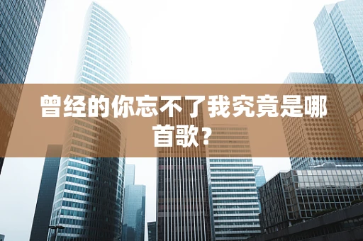 曾经的你忘不了我究竟是哪首歌？