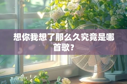 想你我想了那么久究竟是哪首歌？