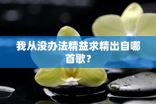 我从没办法精益求精出自哪首歌？