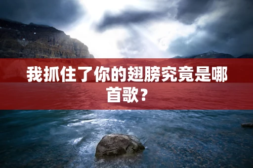 我抓住了你的翅膀究竟是哪首歌？