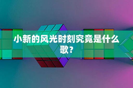 小新的风光时刻究竟是什么歌？