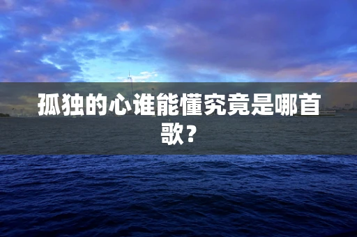 孤独的心谁能懂究竟是哪首歌？