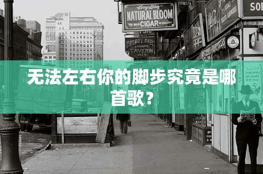 无法左右你的脚步究竟是哪首歌？