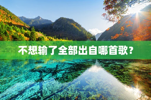 不想输了全部出自哪首歌？